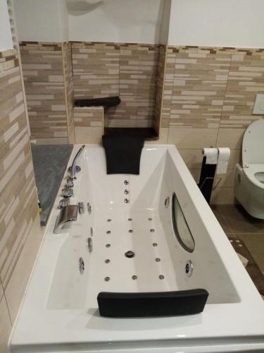 a sink in a bathroom with a toilet at Palazzo Vassallo3 in Pieve di Teco