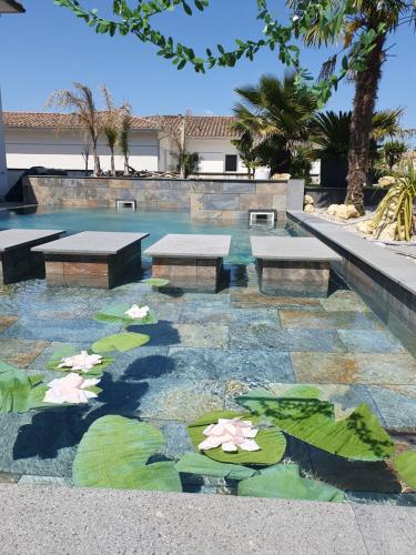 une piscine avec des nénuphars et des bancs dans une cour dans l'établissement Villa Caldas, à Sadirac
