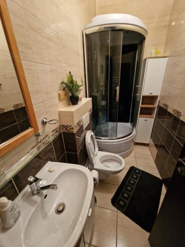 a bathroom with a sink and a toilet and a shower at Villa Florencia in Bardejov