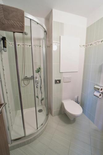 a bathroom with a shower and a toilet at Formule in Pürstein