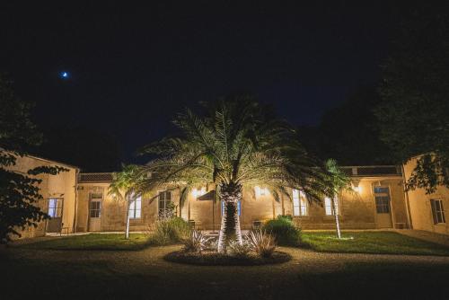 un palmier devant un bâtiment la nuit dans l'établissement Logis de l'Héronière, à Salles-sur-Mer