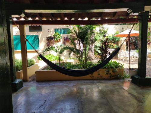 a hammock in a patio with palm trees at HOTEL NIETO MOMPOX, ubicado en el corazón del centro histórico, frente al rio magdalena en zona de malecón in Mompos
