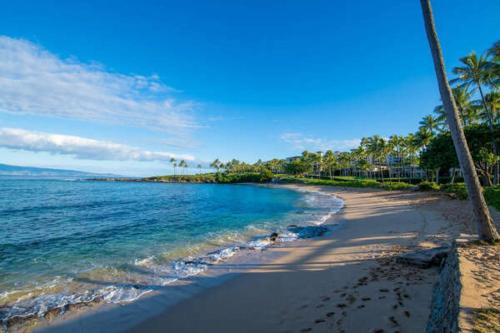a sandy beach with palm trees and the ocean at Napili Shores I174 in Kahana