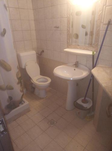 a bathroom with a toilet and a sink at Aleksandros Apartments in Paralia Katerinis