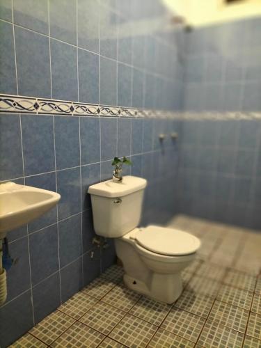 a bathroom with a toilet and a sink at Casa las cabras in La Peñita de Jaltemba