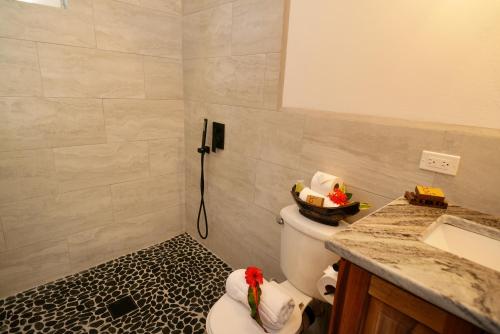 a bathroom with a toilet and a sink at Sandy Feet Beach Resort in Placencia Village