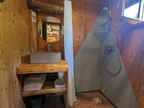 a bathroom with a sink and a shower in a cabin at Chalet en Rondins Au Cœur de la Nature avec Confort Moderne près de Strasbourg - FR-1-589-228 in Le Saulcy