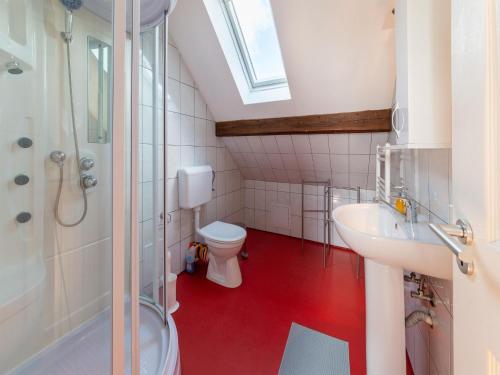 ein Bad mit einem WC, einem Waschbecken und einer Dusche in der Unterkunft Wonderful holiday home in Elsenborn with garden in Elsenborn