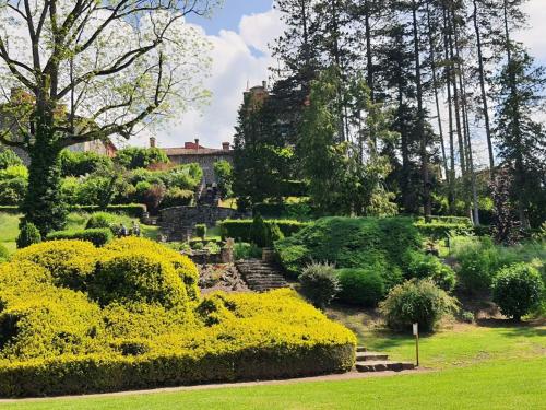 a garden with yellow flowers and a building in the background at Maison pittoresque avec terrasse et BBQ, calme près de Langeac - FR-1-582-124 in Langeac