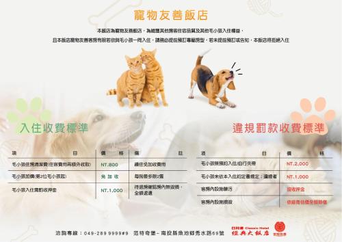 a packet of cats and dogs for the chinese new year at Fantasy Palace in Yuchi