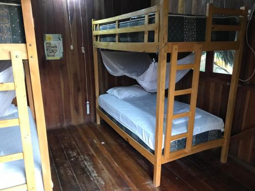 a couple of bunk beds in a room at Onda Hostel Mompiche in Mompiche