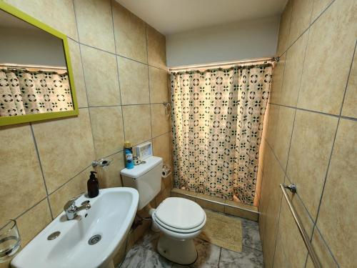 a bathroom with a toilet and a sink and a shower at Fario Fishing Lodge in Villa El Chocón