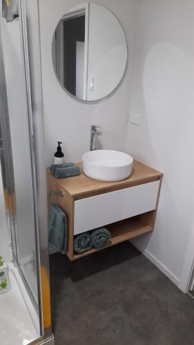 a bathroom with a sink and a mirror at River and Ridge Getaway in Turangi
