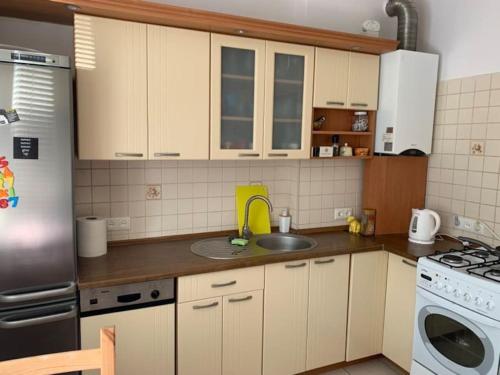 Il comprend une cuisine équipée d'un évier et d'une cuisinière. four supérieur dans l'établissement Sopot Green 65, à Sopot