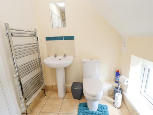 a bathroom with a toilet and a sink at Holly Cottage in Alford