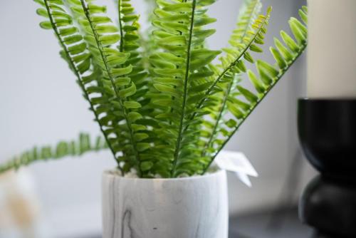 a white vase with green plants in it at Linburn Apartment in Glasgow