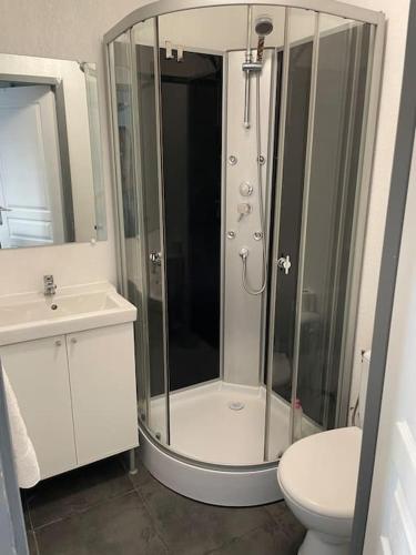 une salle de bain avec une douche, des toilettes et un lavabo dans l'établissement Studio1 proche Fac climatisé, à Albi