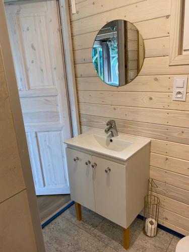 La salle de bains est pourvue d'un lavabo et d'un miroir. dans l'établissement Forest house, à Targanice