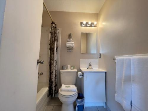 La salle de bains est pourvue de toilettes, d'un lavabo et d'une douche. dans l'établissement Departure Bay Motel, à Nanaimo