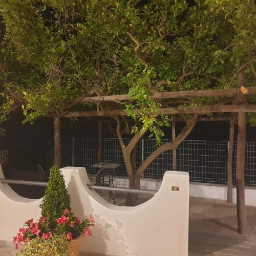 a white wall with a tree and some flowers at Villa Pino in Furore