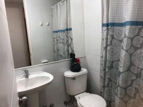 a small bathroom with a toilet and a sink at Arriendo dpto o pieza por noche in San Pedro de la Paz