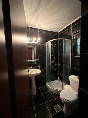 a bathroom with a toilet and a sink and a shower at Ollie's Mountain Chalet in Buşteni