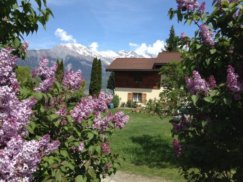 ein Haus in den Bergen mit Blumen im Vordergrund in der Unterkunft Domaine Bellevie BnB in Vex