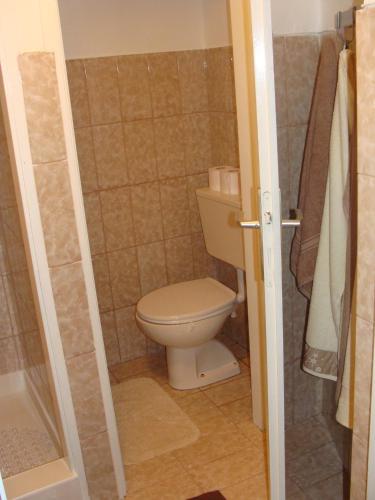 a small bathroom with a toilet and a shower at Apartments Paradiso in Samobor