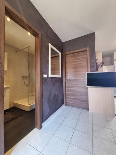 La salle de bains est pourvue d'une douche, d'un lavabo et de toilettes. dans l'établissement Apartments Miranda, à Kaprije