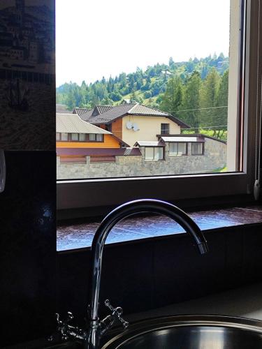 a kitchen sink and a window with a view of a house at Карпатський куточок in Slavske