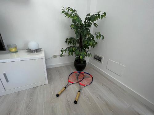 a tennis racket and a potted plant in a room at Ocean Drive in Sesimbra