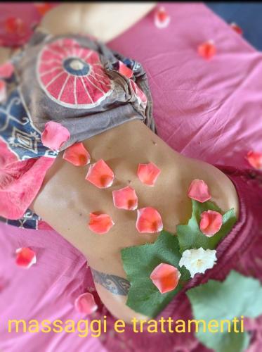Fotografie z fotogalerie ubytování Amrita Rosa v destinaci Castellamonte