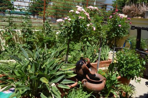 a garden with plants and a statue in the middle at VILLA AVATOS 3 - Near to the port of Rafina and the airport of Athens in Áyios Spirídhon