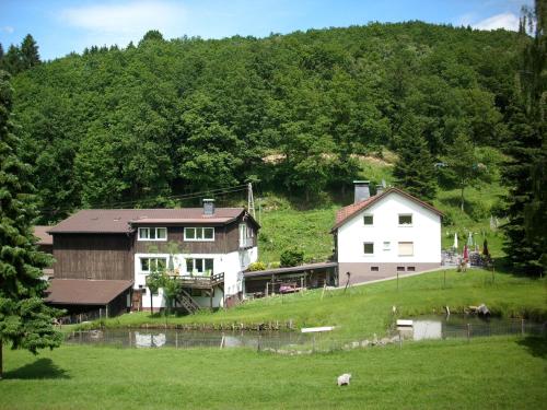 ein paar Gebäude und ein Haus auf einem Hügel in der Unterkunft Apartment in Bruchhausen right on the fishing river in Oberveischede