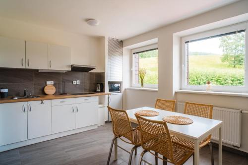 Apartmány Špička - Stříbrnice u sjezdovky