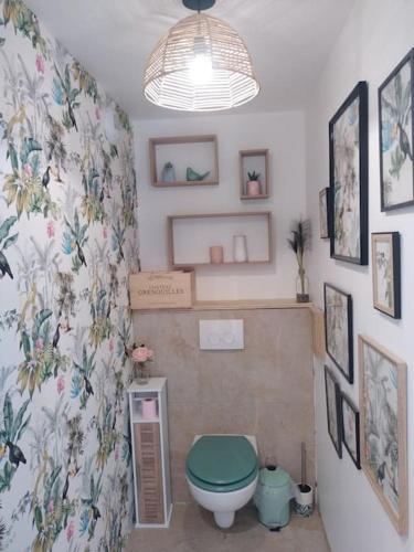 La salle de bains est pourvue de toilettes avec un couvercle vert. dans l'établissement Gite de La Louverie, à Mostuéjouls