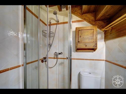 a shower in a bathroom with a toilet and a shower at MULLERES de Alma de Nieve in Arties