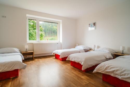 スタレー・ムニェストにあるApartmány Špička - Stříbrnice u sjezdovkyのベッド3台と窓が備わる客室です。