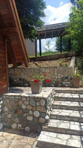 a stone walkway with potted plants and a stone wall at Apartman Zlatarske Čari in Nova Varoš