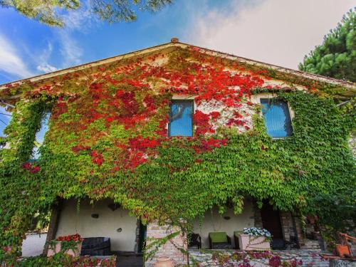 マルシャーノにあるFarmhouse in Marsciano with vineyards olive grovesの蔦の建物