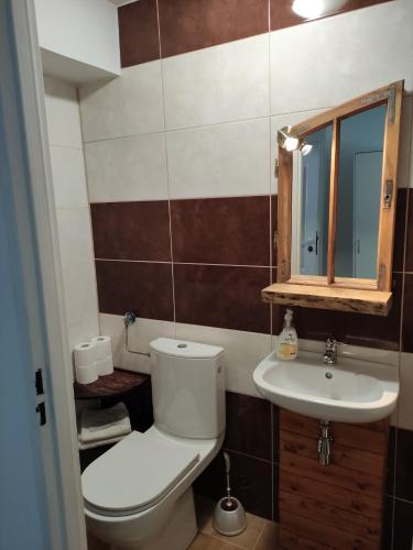 ein Bad mit einem WC und einem Waschbecken in der Unterkunft Leśnik in Karpacz