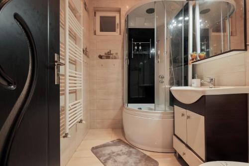 een badkamer met een douche en een wastafel bij City Nest Maria Short Stay in Baia Mare