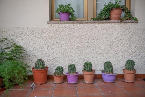 a row of potted plants sitting on a window sill at "A CASA COGONI - OSPITALITÀ e CULTURA" in Monserrato