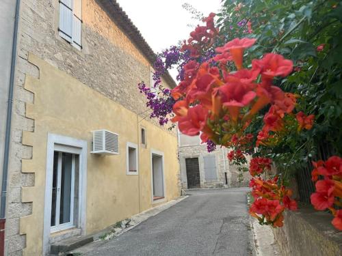 an empty street with red flowers in front of a building at La cave à Papé in Peyriac-de-Mer