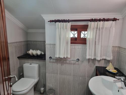 ein Bad mit einem WC und einem Waschbecken in der Unterkunft The Drake Seaside Apartment in Bel Ombre
