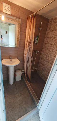 ein Bad mit einem Waschbecken und einer Dusche mit einem Duschvorhang in der Unterkunft Kamp kućica trokrevetna in Crnča