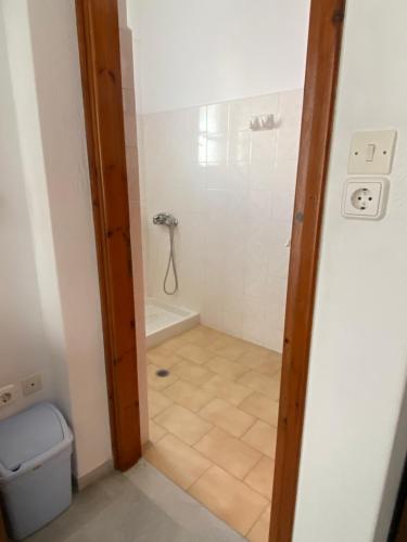 a bathroom with a shower and a toilet in it at Asiminas in Naxos Chora