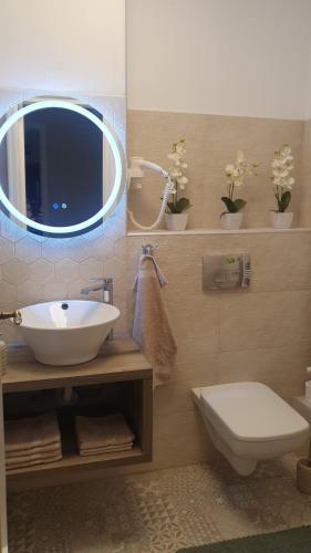 a bathroom with a sink and a toilet and a mirror at Dream Apartment Timisoara in Timişoara
