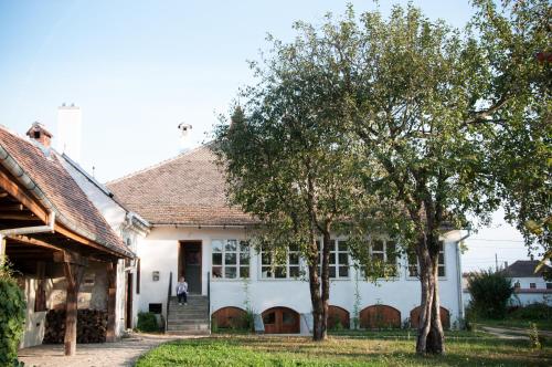 ein weißes Haus mit zwei Bäumen davor in der Unterkunft Transylvania Guesthouses in Cincşor