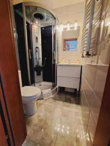 La salle de bains est pourvue de toilettes, d'un lavabo et d'une douche. dans l'établissement Willa Kwiatano - Plac zabaw & Jacuzzi & Basen & Sauna, à Grzybowo